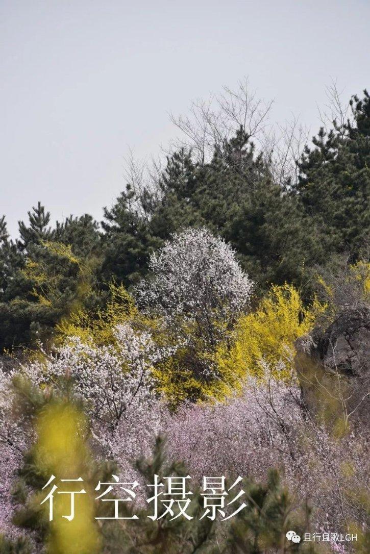 为什么被原子弹炸过的广岛长崎可以住人，而切尔诺贝利却不能？游戏画面